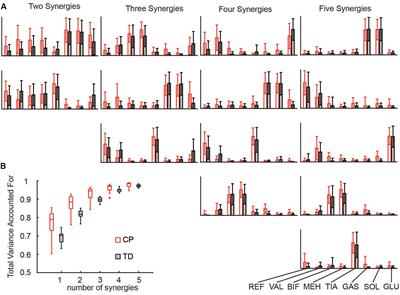 Muscle Synergy Constraints Do Not Improve Estimates of Muscle Activity From Static Optimization During Gait for Unimpaired Children or Children With Cerebral Palsy